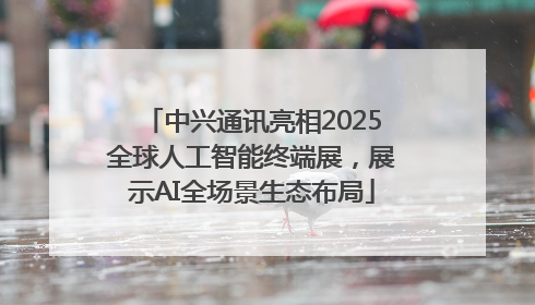 中兴通讯亮相2025全球人工智能终端展，展示AI全场景生态布局