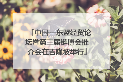 中国—东盟经贸论坛暨第三届链博会推介会在吉隆坡举行