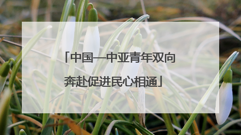 中国—中亚青年双向奔赴促进民心相通