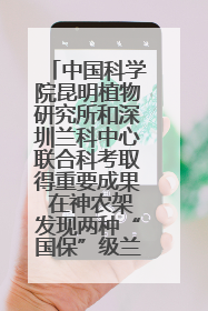 中国科学院昆明植物研究所和深圳兰科中心联合科考取得重要成果 在神农架发现两种“国保”级兰花