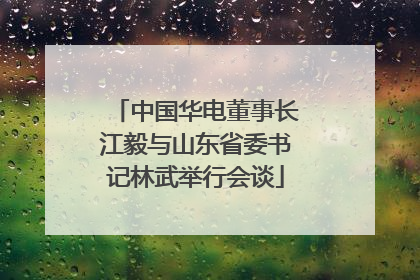 中国华电董事长江毅与山东省委书记林武举行会谈