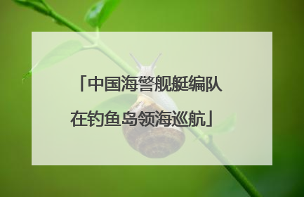 中国海警舰艇编队在钓鱼岛领海巡航