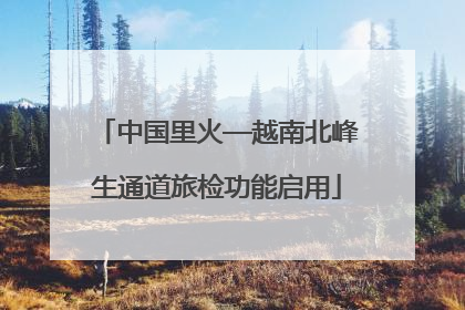 中国里火—越南北峰生通道旅检功能启用