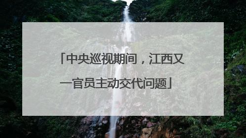中央巡视期间，江西又一官员主动交代问题