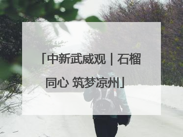 中新武威观｜石榴同心 筑梦凉州