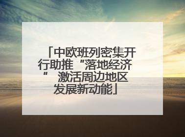 中欧班列密集开行助推“落地经济” 激活周边地区发展新动能