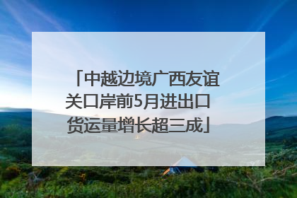 中越边境广西友谊关口岸前5月进出口货运量增长超三成
