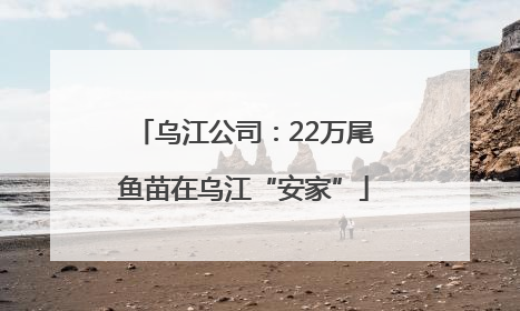 乌江公司：22万尾鱼苗在乌江“安家”