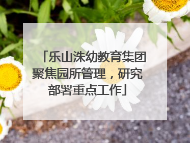 乐山洙幼教育集团聚焦园所管理，研究部署重点工作