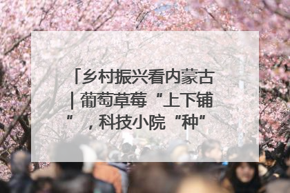 乡村振兴看内蒙古｜葡萄草莓“上下铺”，科技小院“种”出三倍效益