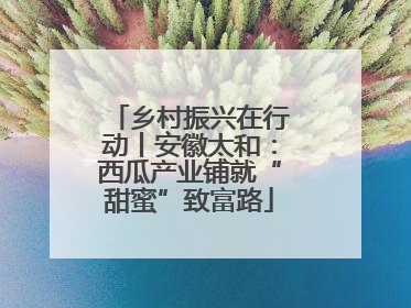 乡村振兴在行动丨安徽太和：西瓜产业铺就“甜蜜”致富路