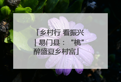 乡村行 看振兴｜易门县：“桃”醉盛夏乡村富