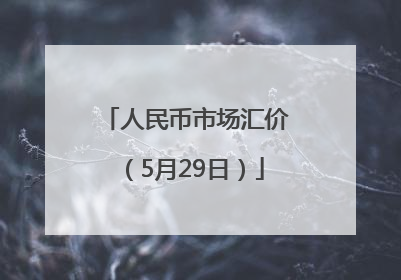 人民币市场汇价（5月29日）