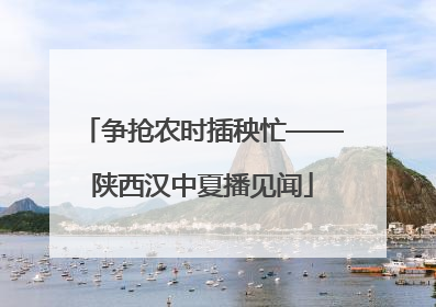 争抢农时插秧忙——陕西汉中夏播见闻