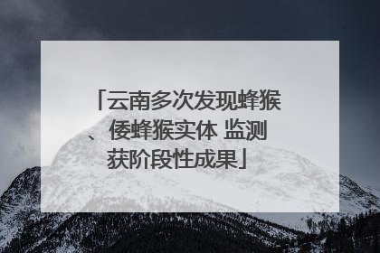 云南多次发现蜂猴、倭蜂猴实体 监测获阶段性成果