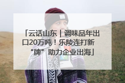 云话山东｜调味品年出口20万吨！乐陵连打新“牌”助力企业出海