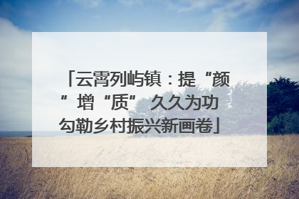 云霄列屿镇：提“颜”增“质” 久久为功勾勒乡村振兴新画卷