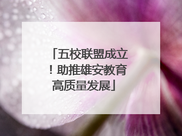 五校联盟成立！助推雄安教育高质量发展