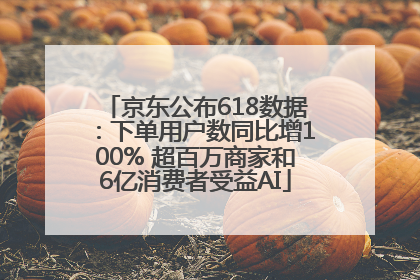 京东公布618数据：下单用户数同比增100% 超百万商家和6亿消费者受益AI