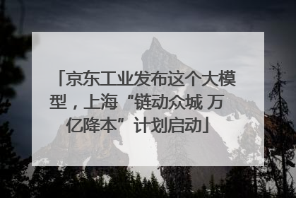 京东工业发布这个大模型，上海“链动众城 万亿降本”计划启动