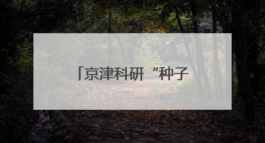 京津科研“种子”扎根河北，产业“土壤”培育创新“参天大树”