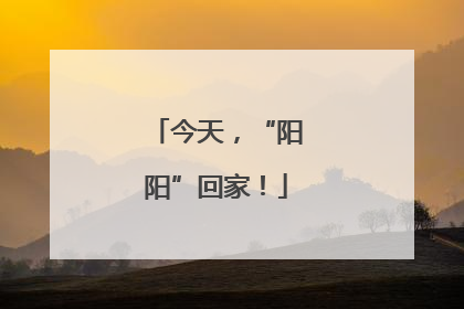 今天，“阳阳”回家！