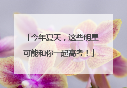 今年夏天，这些明星可能和你一起高考！