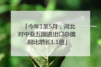 今年1至5月，河北对中亚五国进出口总值同比增长1.1倍