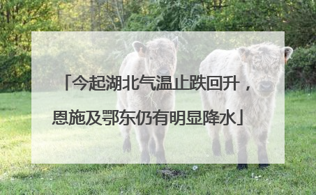 今起湖北气温止跌回升，恩施及鄂东仍有明显降水