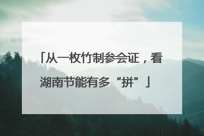 从一枚竹制参会证，看湖南节能有多“拼”