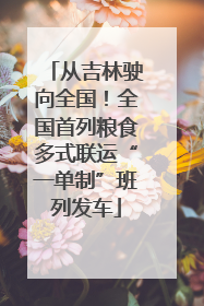 从吉林驶向全国！全国首列粮食多式联运“一单制”班列发车