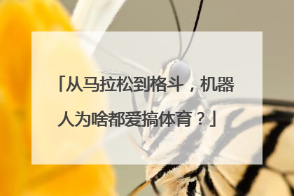 从马拉松到格斗，机器人为啥都爱搞体育？