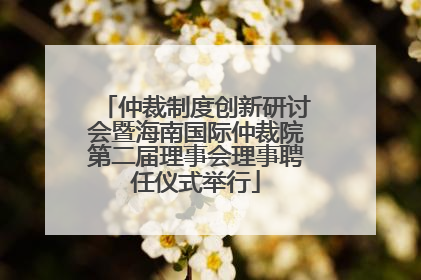 仲裁制度创新研讨会暨海南国际仲裁院第二届理事会理事聘任仪式举行