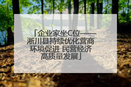 企业家坐C位——淅川县持续优化营商环境促进 民营经济高质量发展