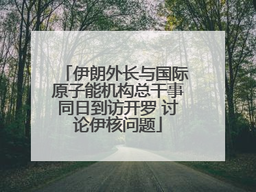 伊朗外长与国际原子能机构总干事同日到访开罗 讨论伊核问题