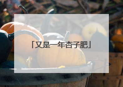 又是一年杏子肥