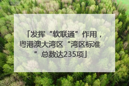 发挥“软联通”作用，粤港澳大湾区“湾区标准”总数达235项