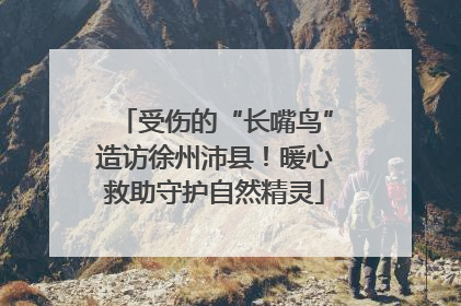 受伤的“长嘴鸟”造访徐州沛县！暖心救助守护自然精灵