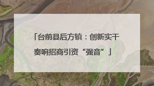 台前县后方镇：创新实干奏响招商引资“强音”