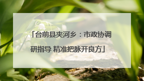 台前县夹河乡：市政协调研指导 精准把脉开良方