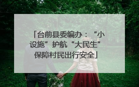 台前县委编办：“小设施”护航“大民生” 保障村民出行安全