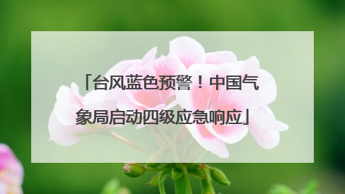台风蓝色预警！中国气象局启动四级应急响应