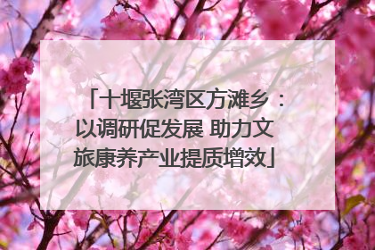 十堰张湾区方滩乡：以调研促发展 助力文旅康养产业提质增效