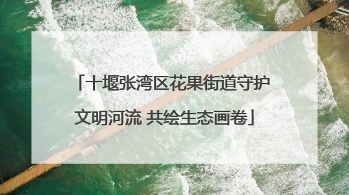 十堰张湾区花果街道守护文明河流 共绘生态画卷