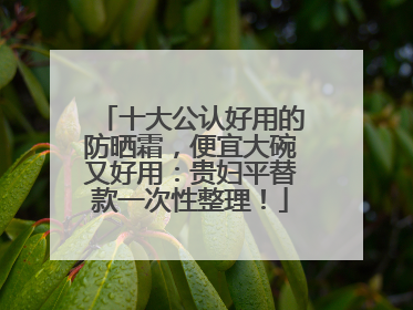 十大公认好用的防晒霜，便宜大碗又好用：贵妇平替款一次性整理！