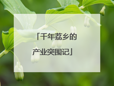 千年荔乡的产业突围记