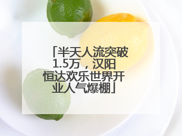 半天人流突破1.5万，汉阳恒达欢乐世界开业人气爆棚
