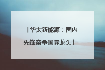 华太新能源：国内先锋奋争国际龙头