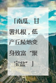 南瓜、甘薯扎根，低产丘陵地变身致富“聚宝盆”