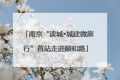 南京“读城•城建微旅行”首站走进颐和路